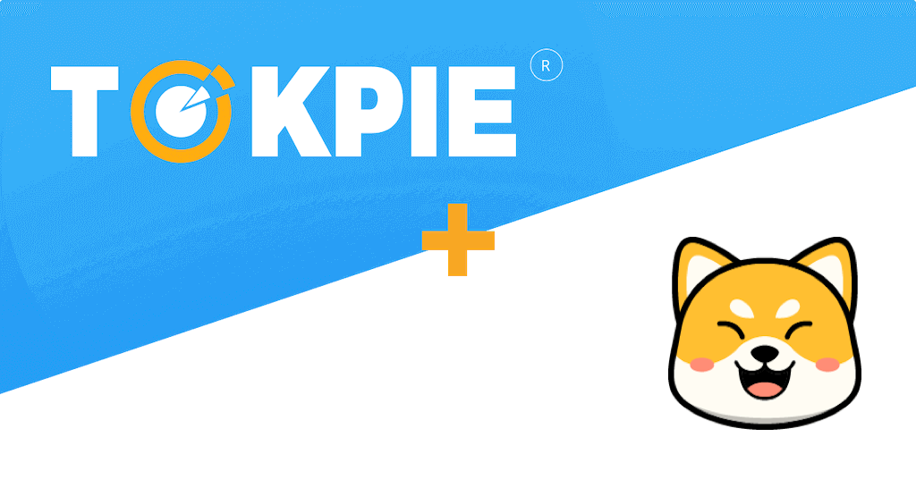 BabyDogeInu for Dog Lovers: BDI Token