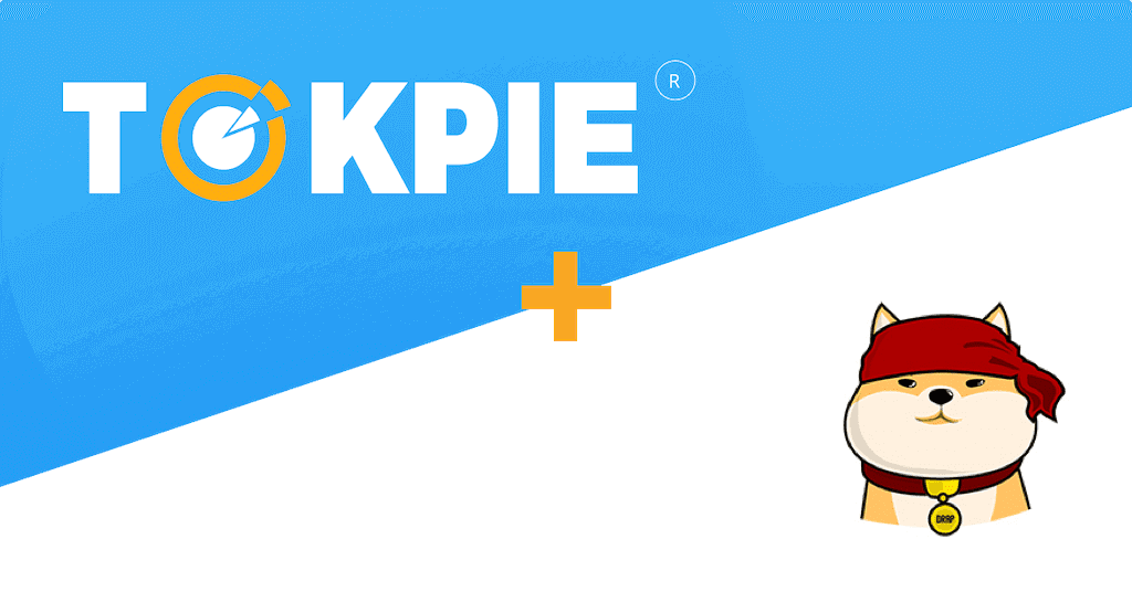 trade Doge Strap tokens on Tokpie