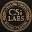 CSi-Labs token logo