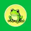 BabyFrog token's logo.